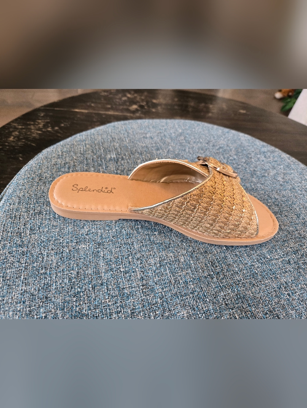 Splendid Sandy Light Gold Braided Slide Sandals with Decorative Buckle - Picture 4 of 9